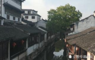 探探猫历险记